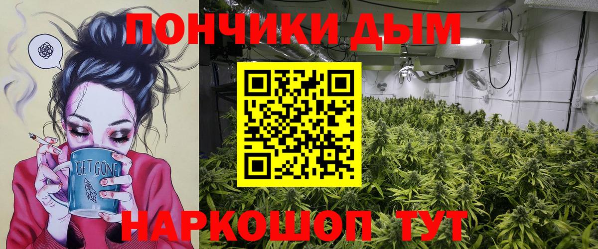 Шишки марихуана SATIVA & INDICA Большой Камень